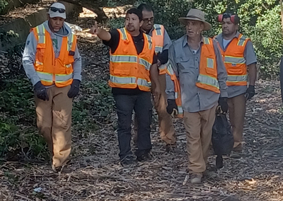 Workers survey work site