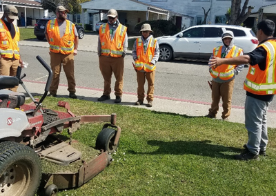 men talking about how to care for the lawn