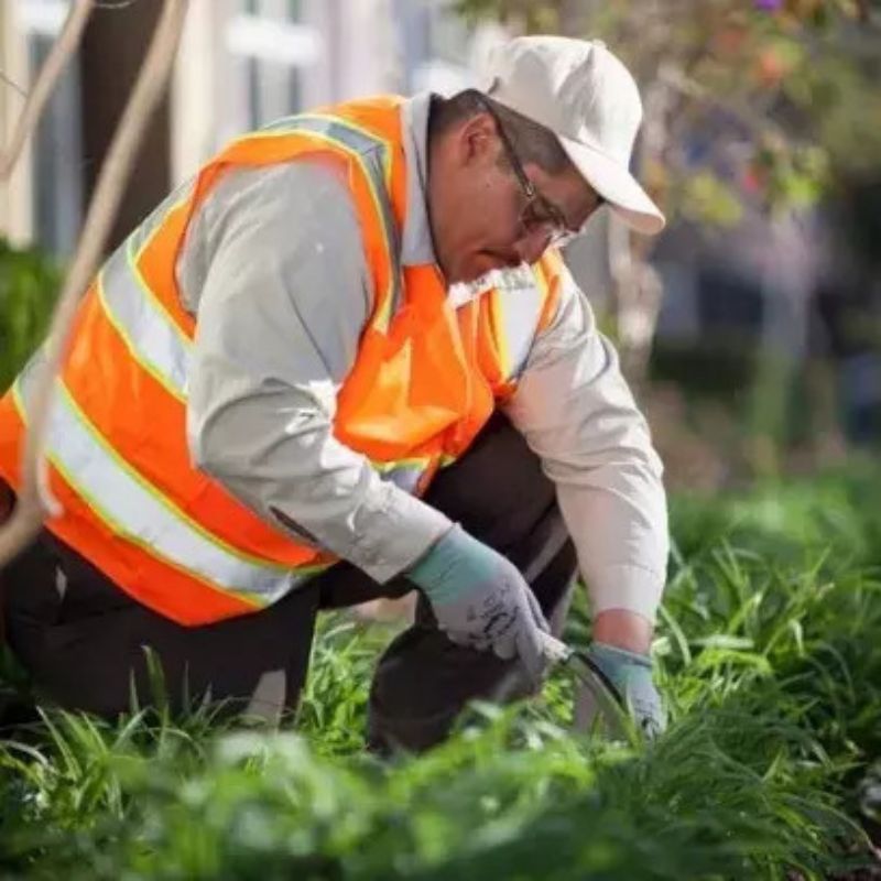 rubicon account manager