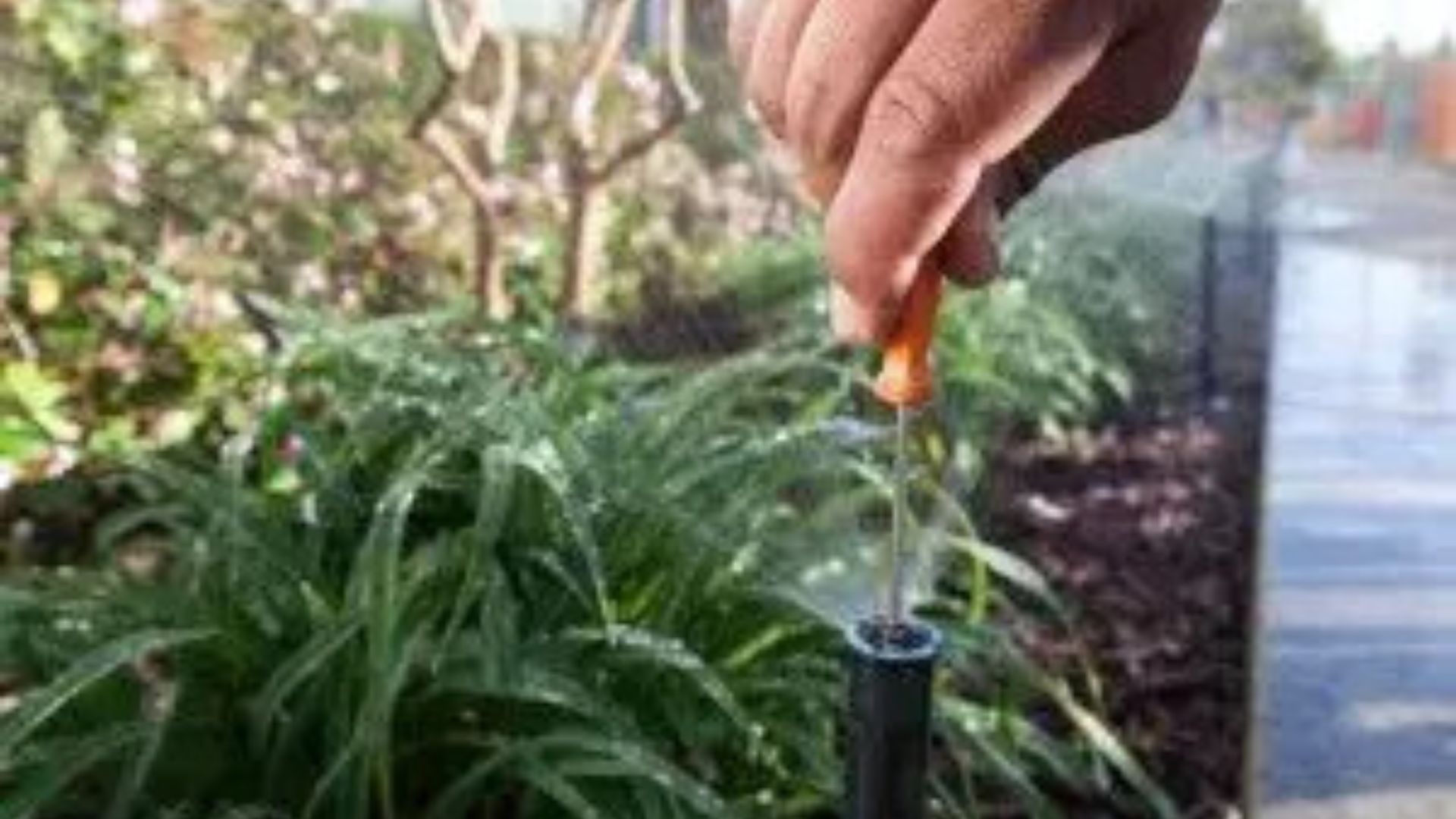 proactive water management_services