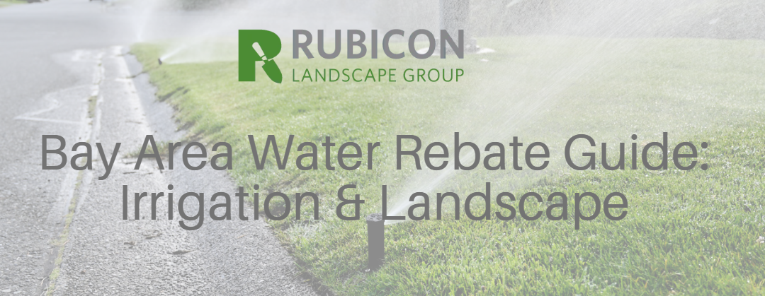 Bay Area Landscape Rebates: Complete 2026 Guide AB 1572